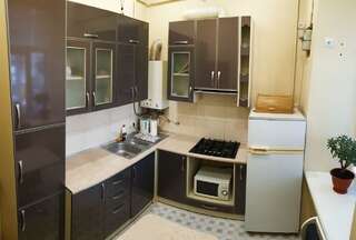 Апартаменты В центрі м.Чернівці 2 кімнатна затишна квартира. Черновцы Апартаменты с 2 спальнями-5